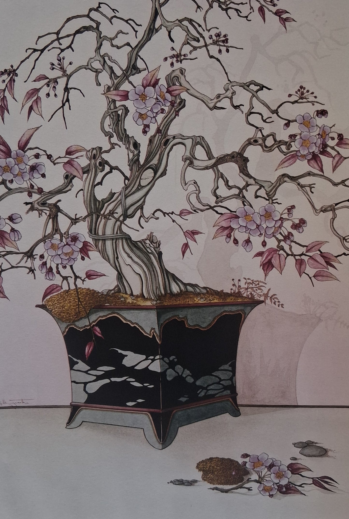 Graham Illingworth CHERRY
