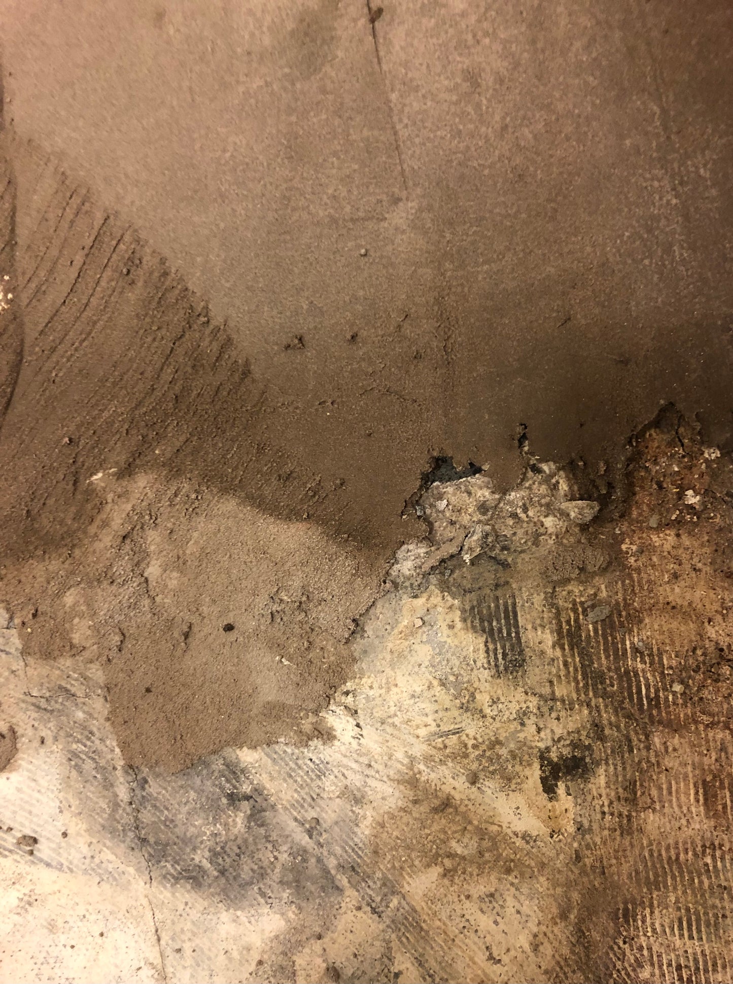 "As I See It" Collection #1 by Louise Sweetmore