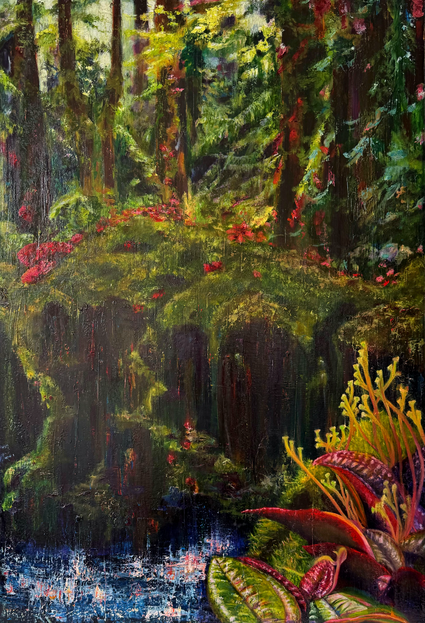 Rain Forest