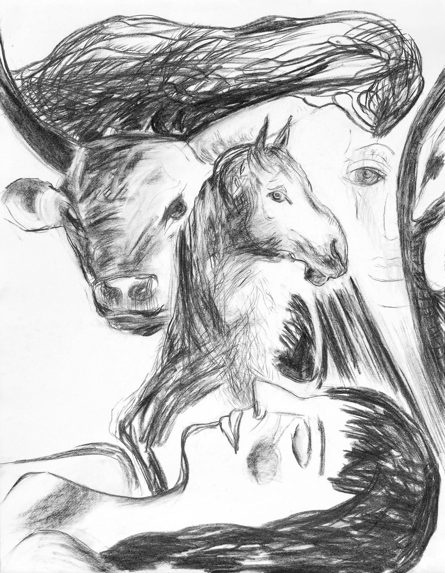 I Redecorate My House To Resemble la Cueva de Tito Bustillo