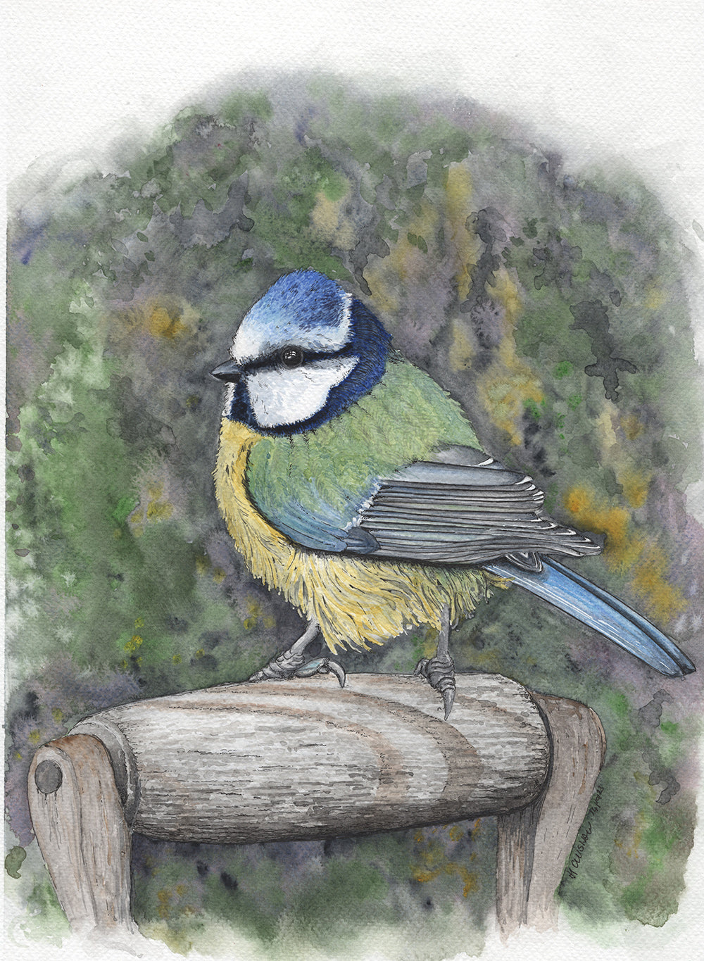 Blue Tit by Artist Mark Culshaw