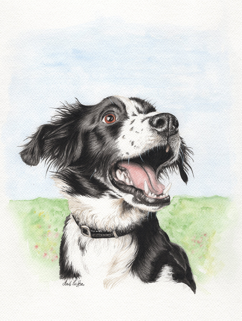 Border Collie by Artist Mark Culshaw