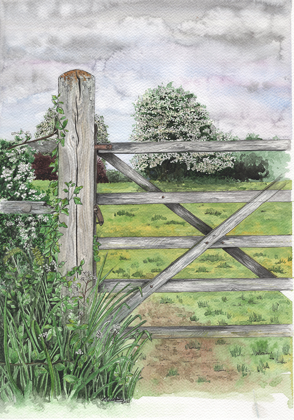 Fields Of Blossom by Artist Mark Culshaw