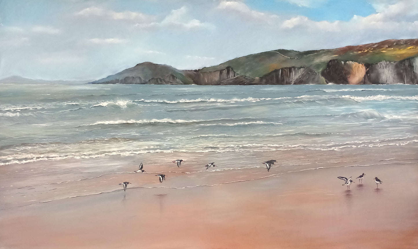 Oyster Catchers on Newgale Beach