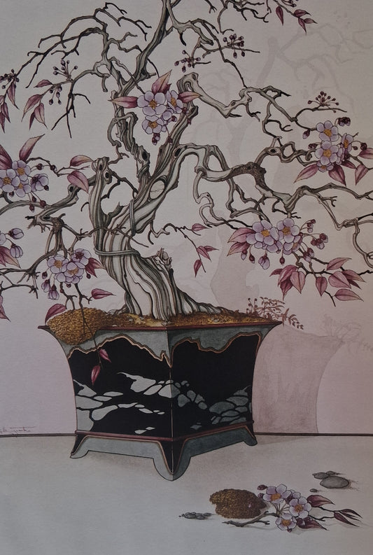 Graham Illingworth CHERRY