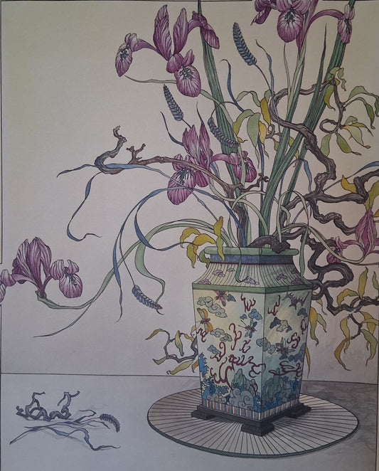 Graham Illingworth IRIS