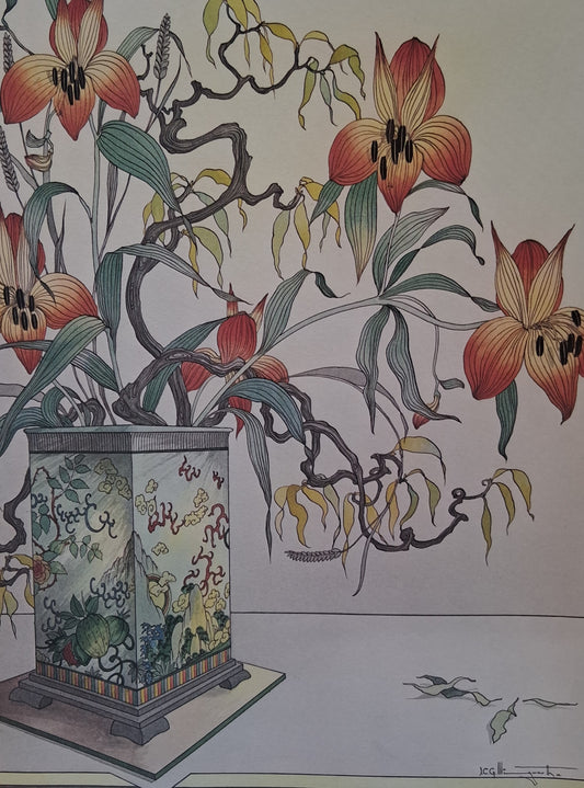 Graham Illingworth LILY