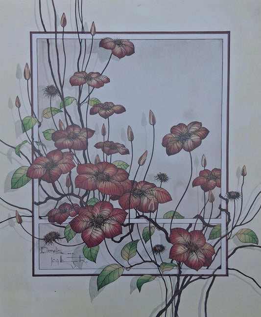 Graham Illingworth CLEMATIS 1