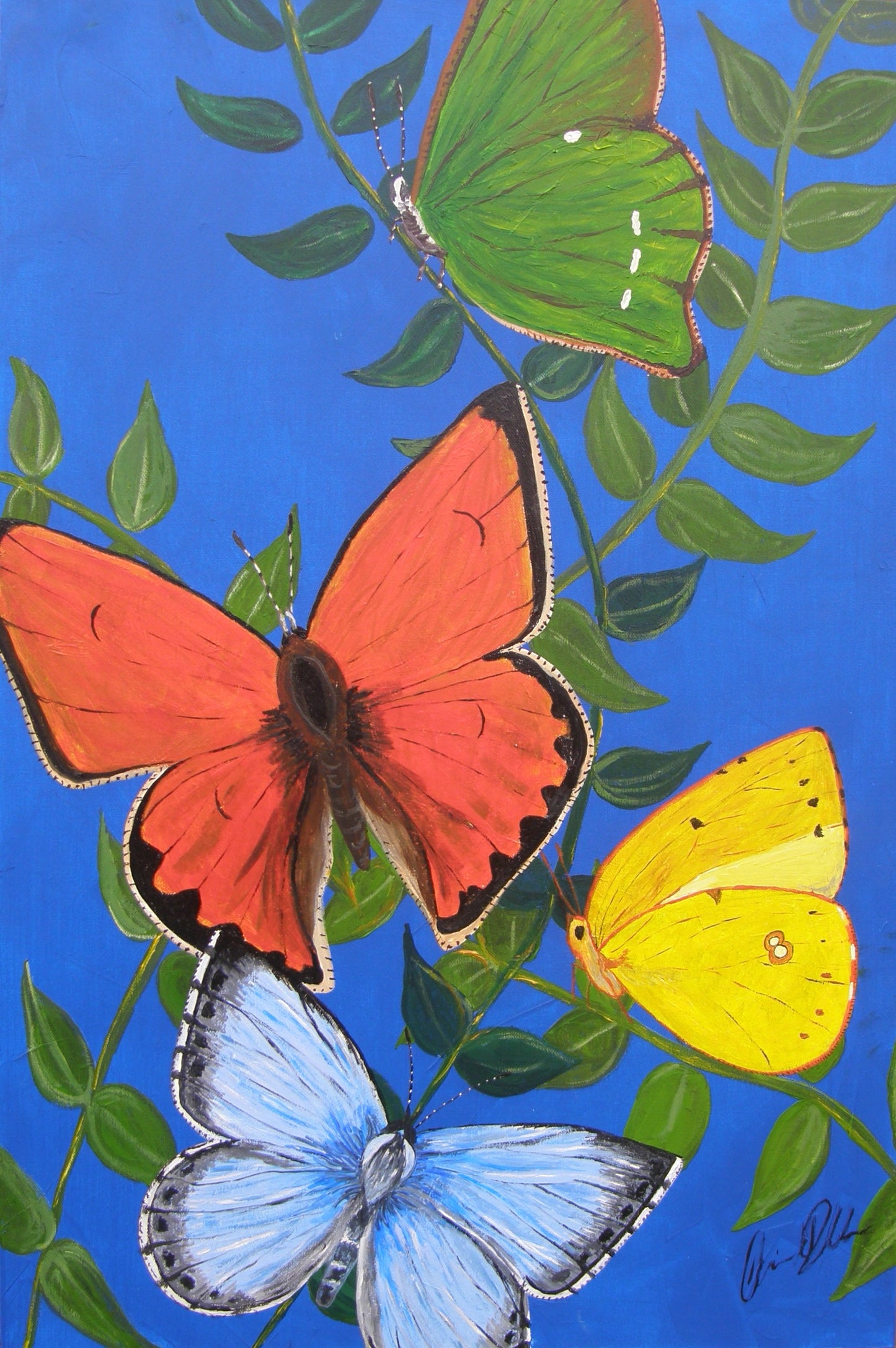 Butterflies by Claire Donaldson