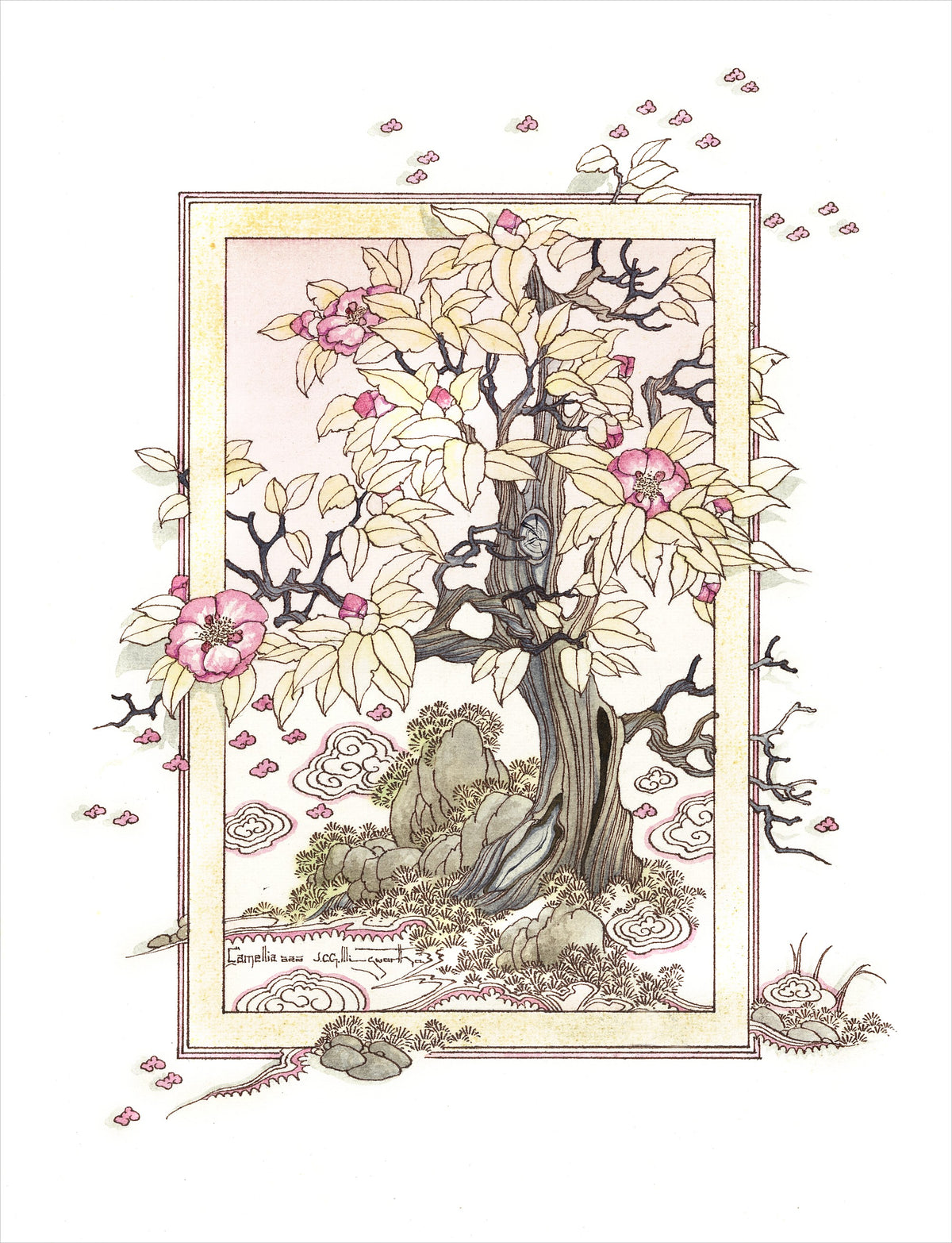 Camellia