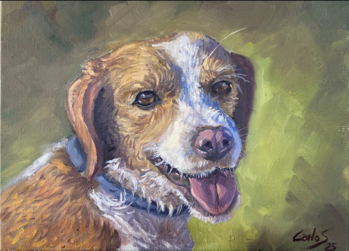 Lola by Artist Carlos Pascual