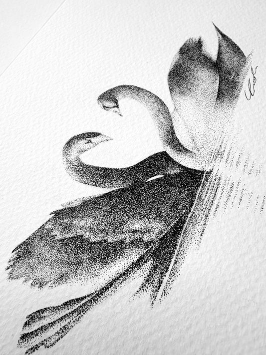 Imogen Grace.Title LOVE BIRDS