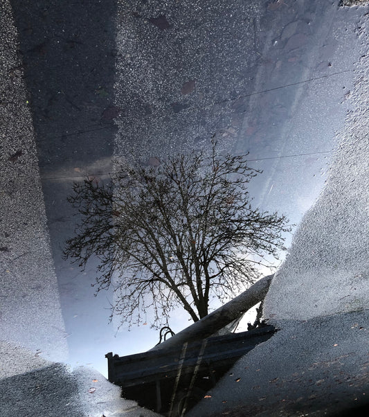 Reflection Collection #2 by Louise Sweetmore