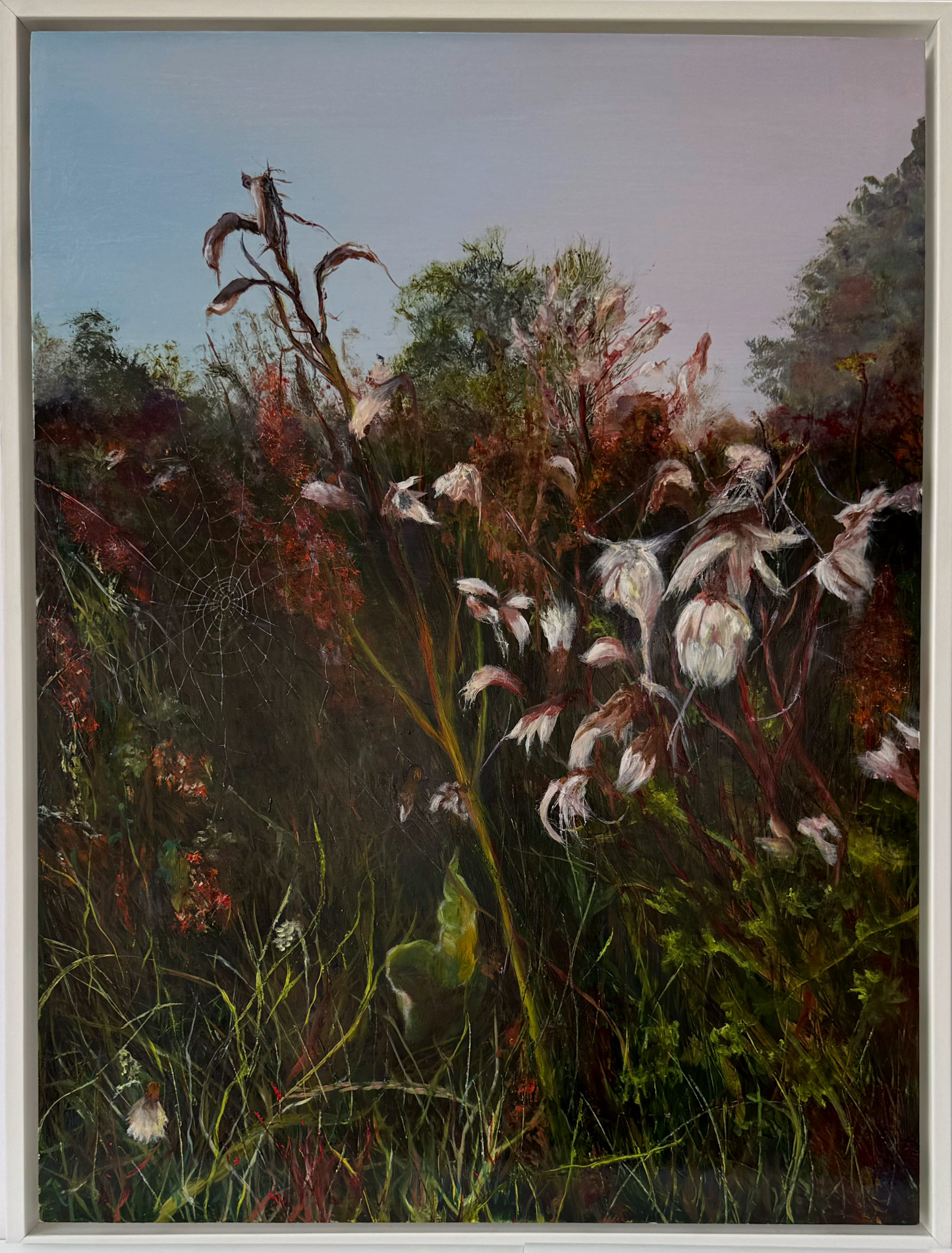 Susan Brazendale. Title MILKWEED PODS