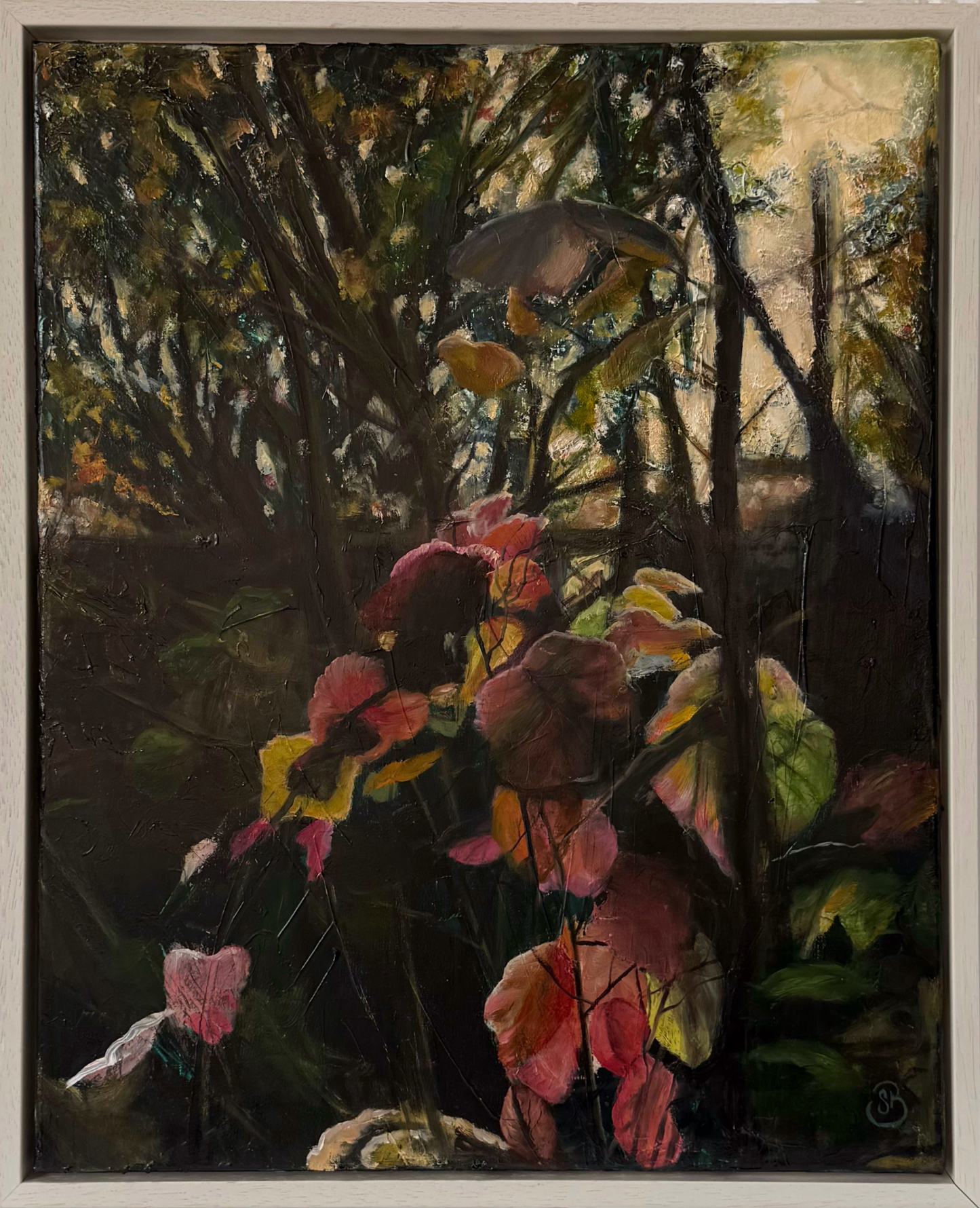 Susan Brazendale. Title WITCH HAZEL