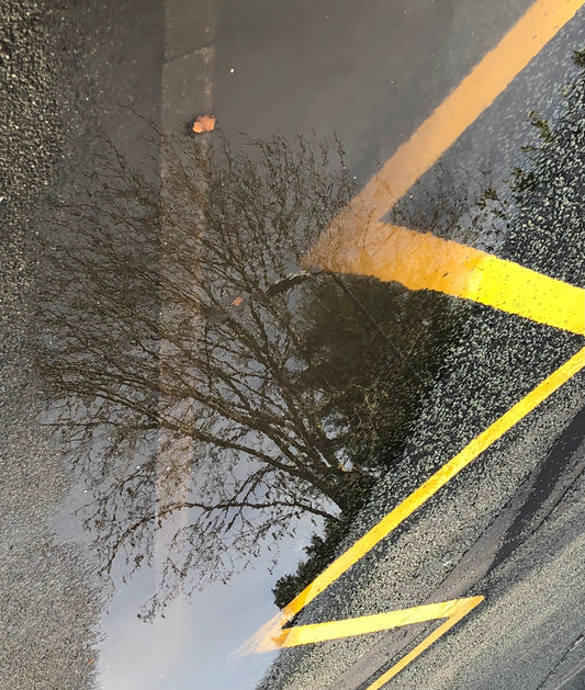 Reflection Collection #3 by Louise Sweetmore