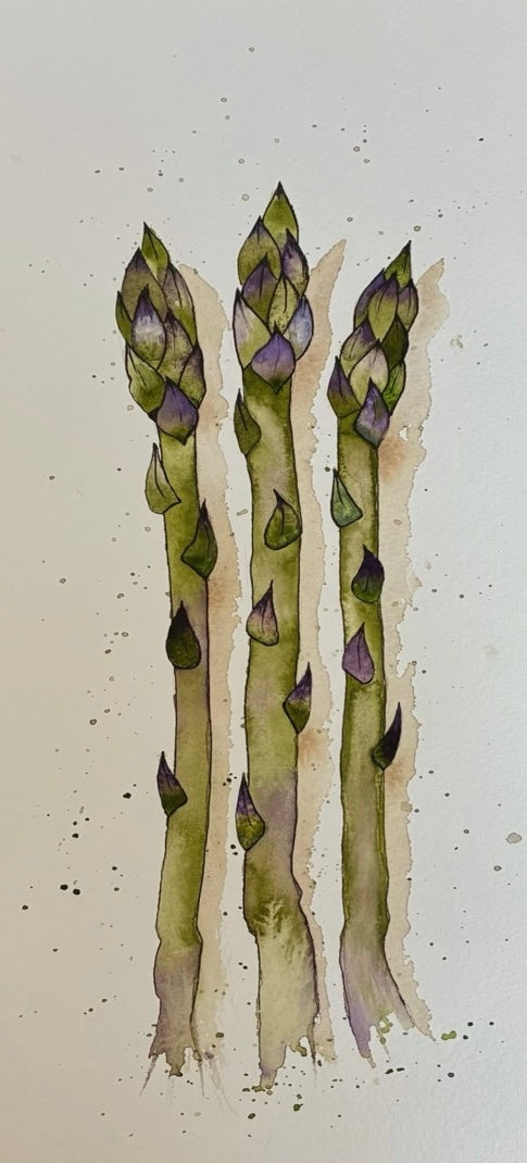 Asparagus By Artist Deborah Walton