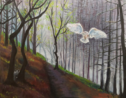 " Macclesfield Forest In Spring"