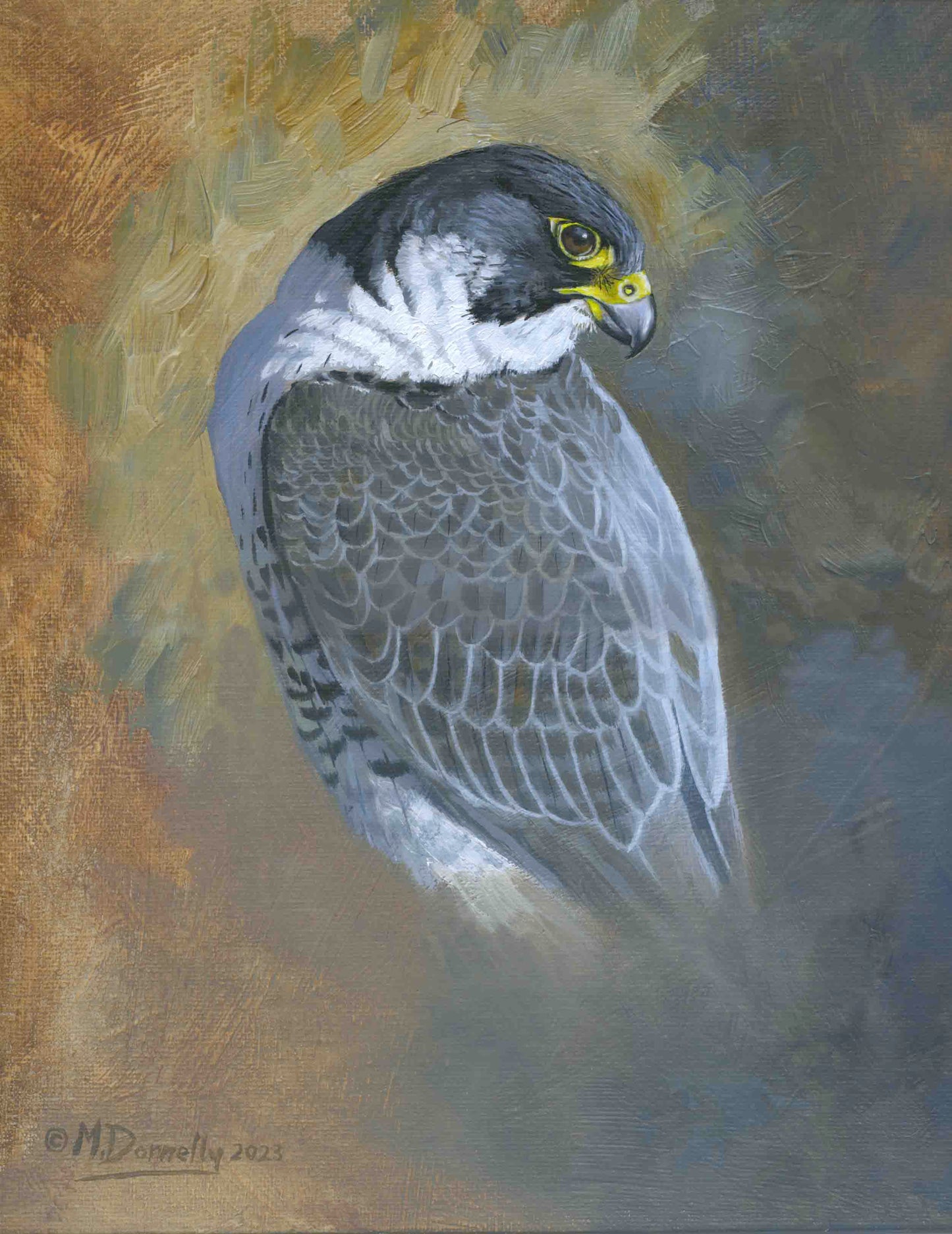 Peregrine study