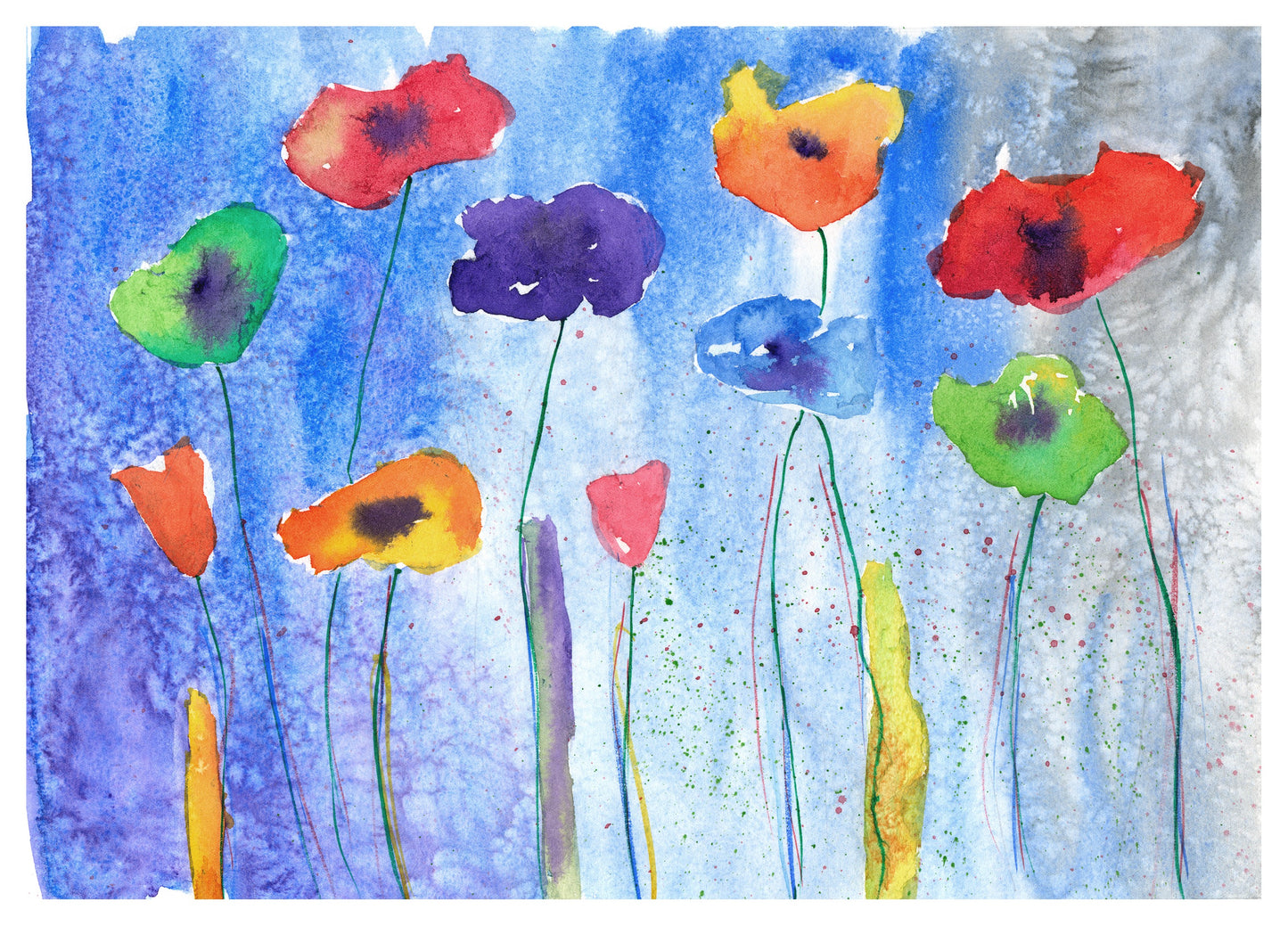 Poppies