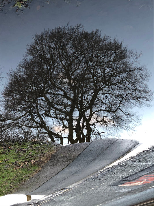 Reflection Collection #6 by Louise Sweetmore