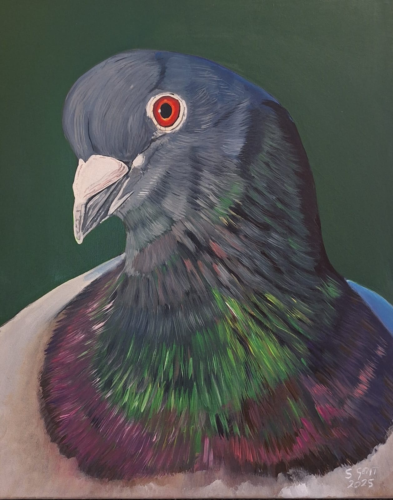 Pigeon By Artist Stephen Gent