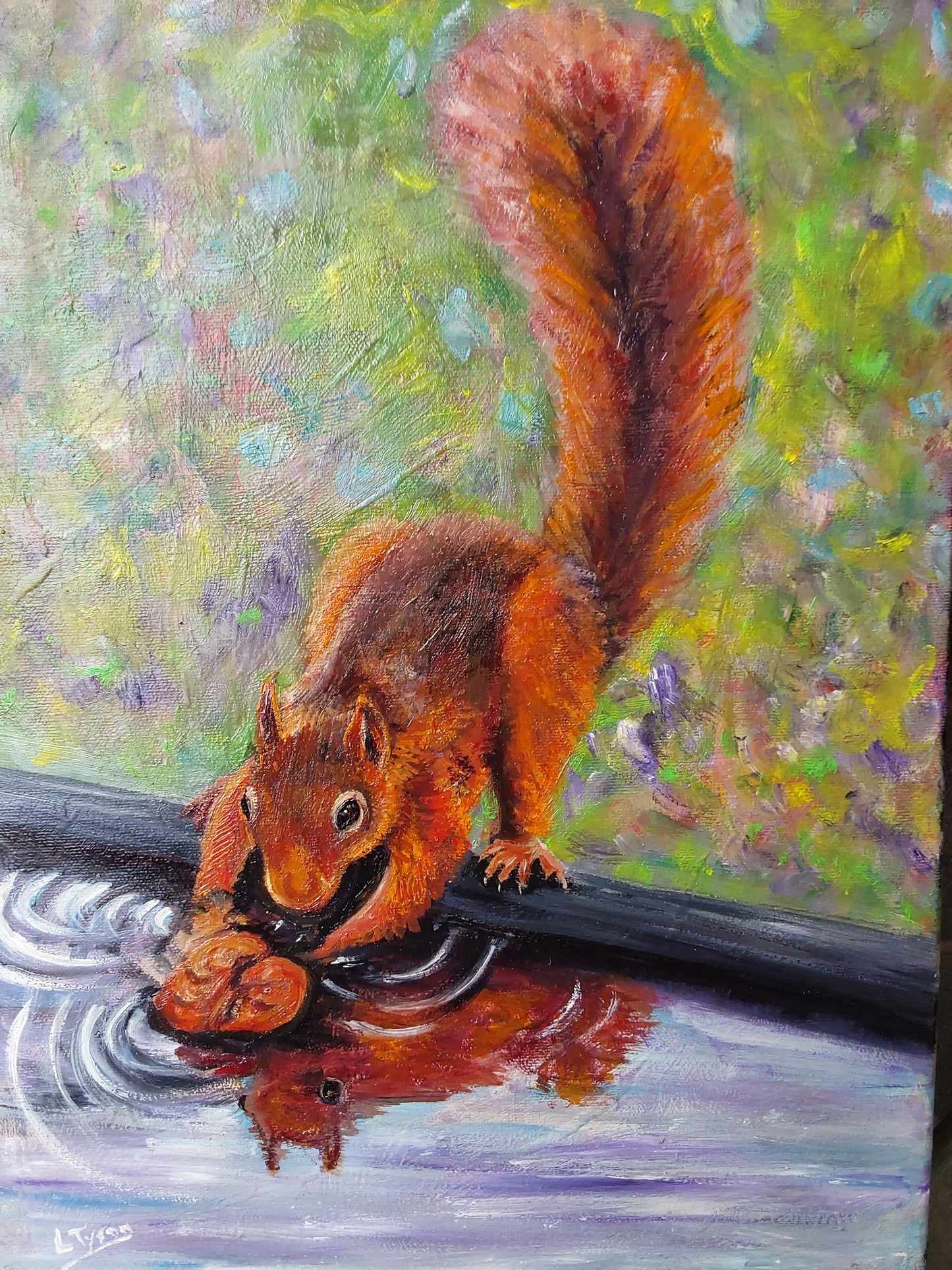 Red Squirrel Reflections