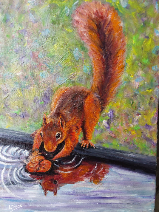 Red Squirrel Reflections