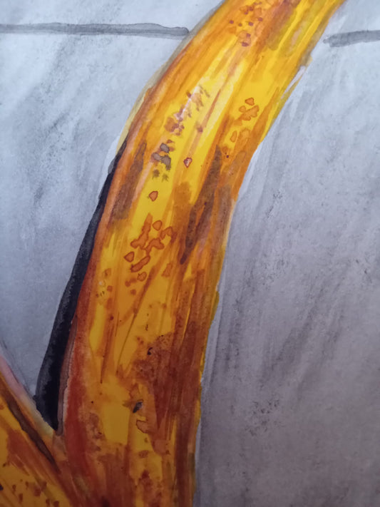 LOVELY BANANA PEEL By Artist Vinay Jalla