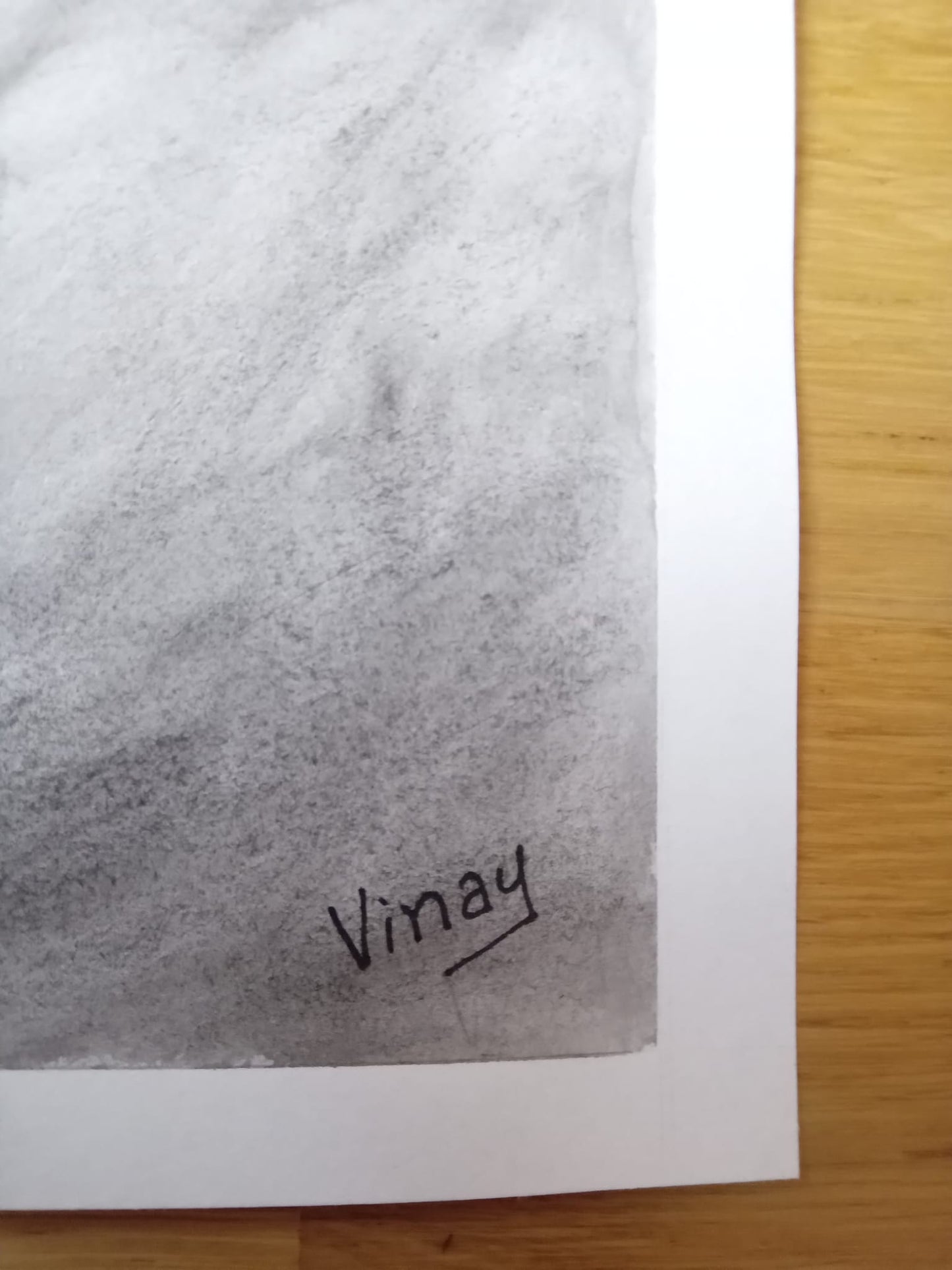 LOVELY BANANA PEEL By Artist Vinay Jalla