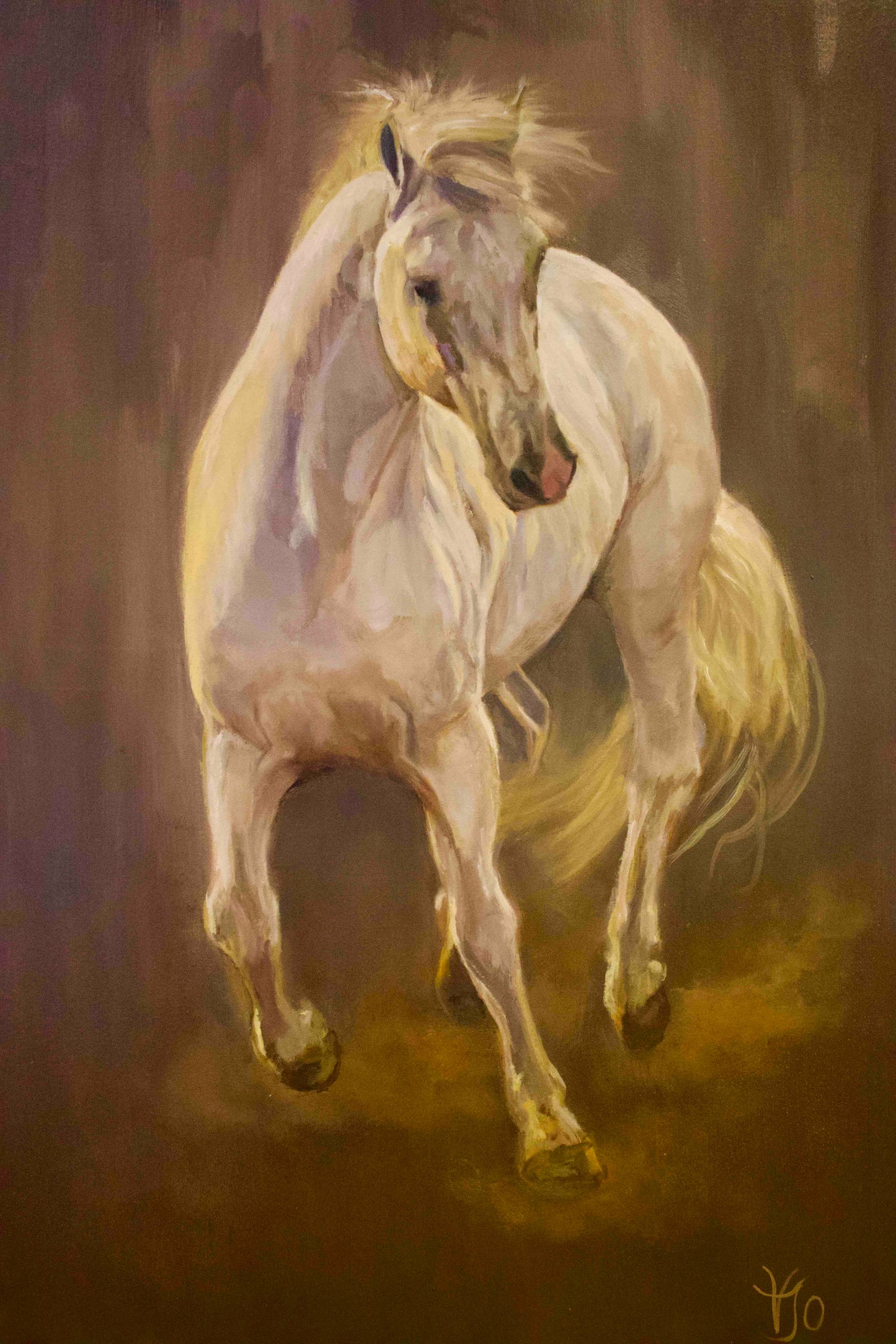 White Stallion Into The Light